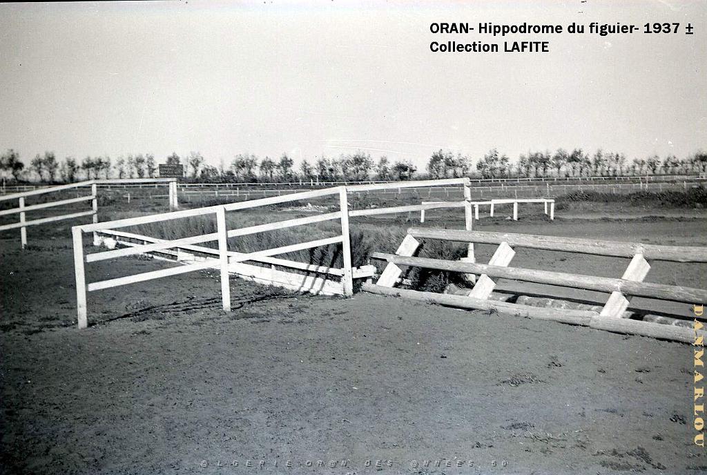 ORAN 1937 HYPPODROME DU FIGIER    (22).jpg